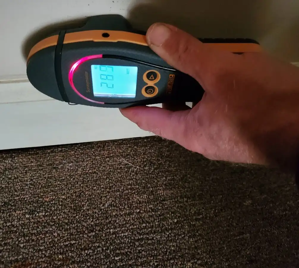 Moisture detection at baseboard during Burst Pipe Cleanup in Canal Winchester
